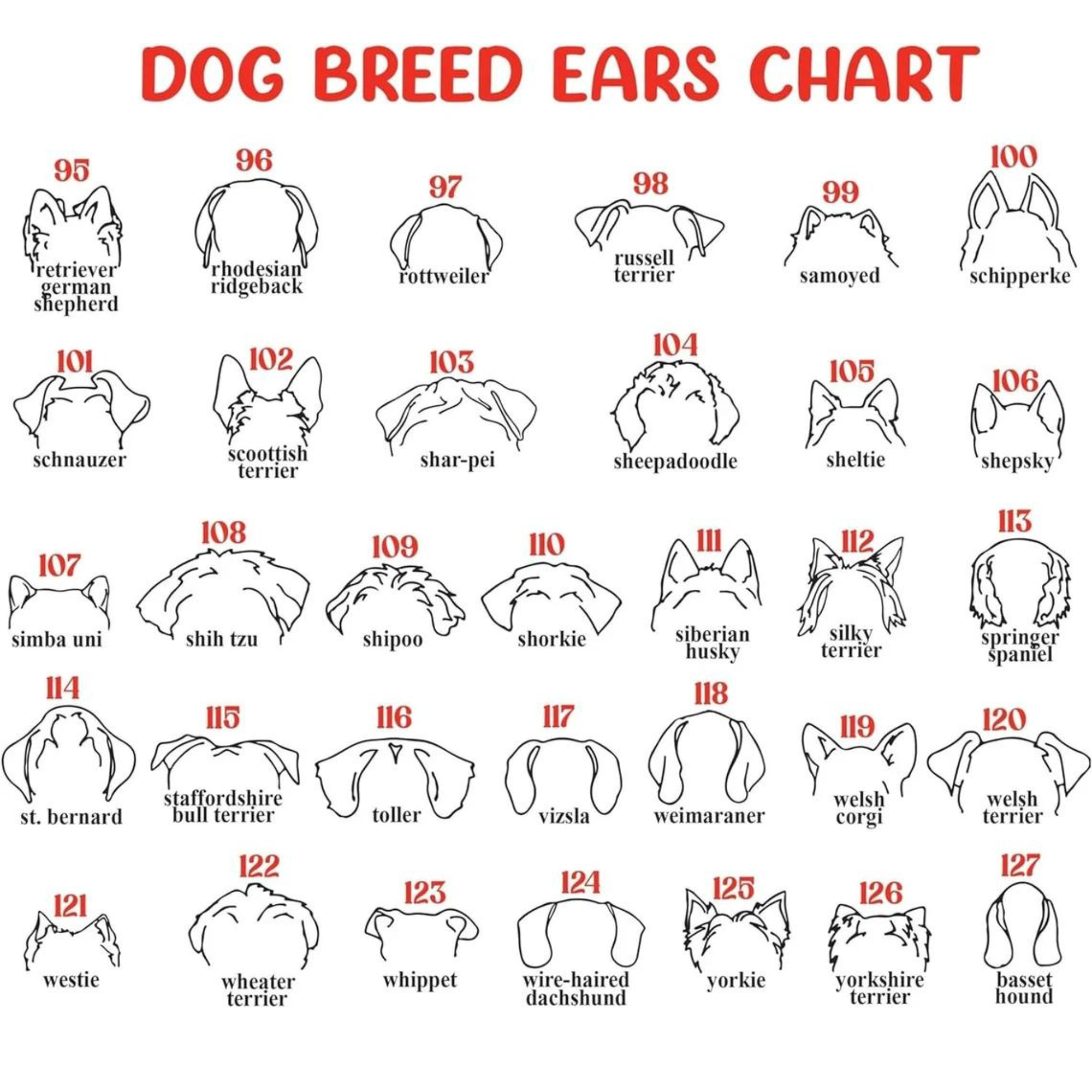 Dog Memorial Frame with Collar Holder