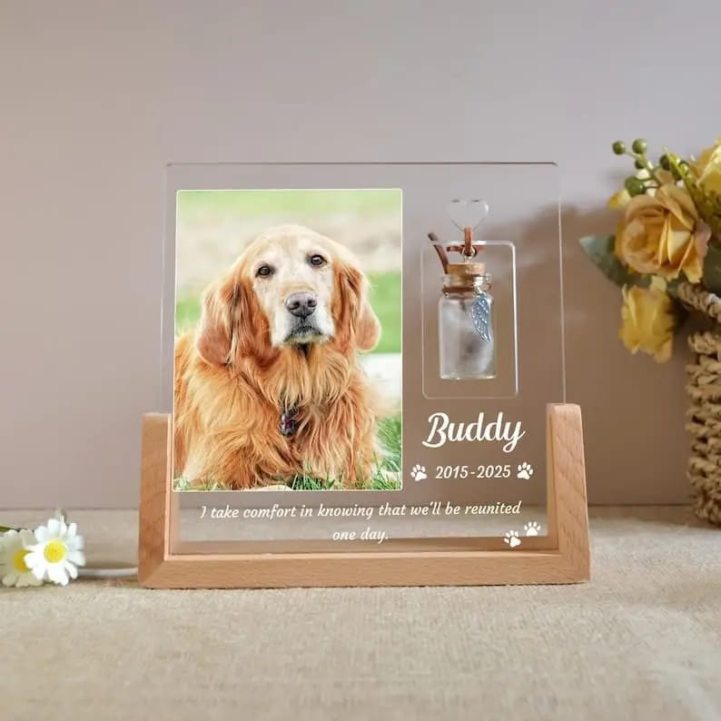 Custom Pet Photo Night Light