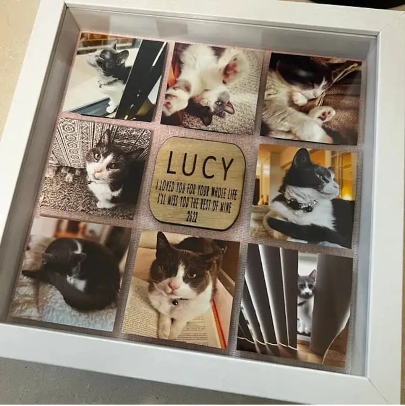Personalized Pet Memorial Shadow Box Frame