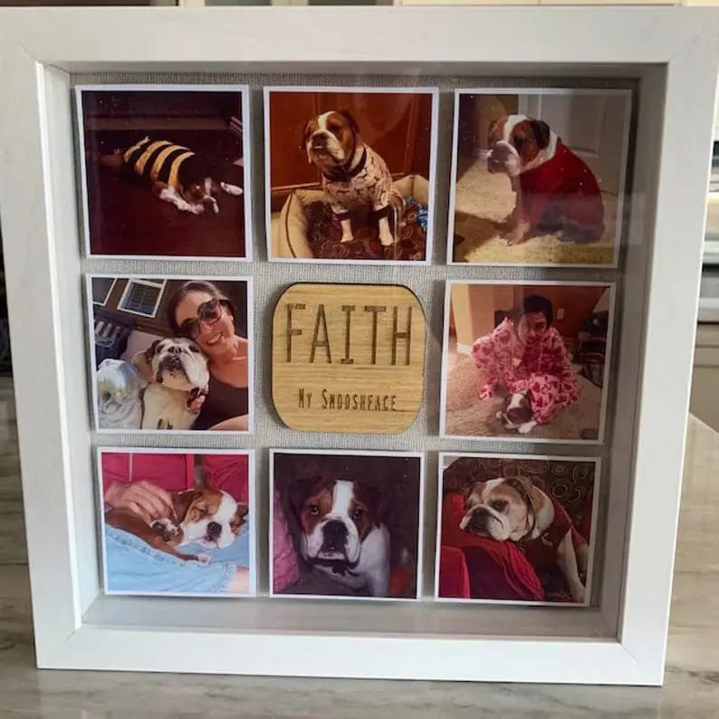 Personalized Pet Memorial Shadow Box Frame